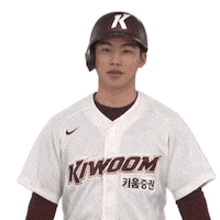 Heroes3 Sticker by Kiwoom Heroes Baseball Club