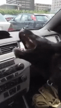 usa temperature GIF