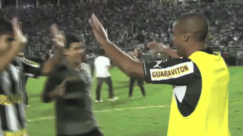 botafogo futebol e regatas GIF by Botafogo