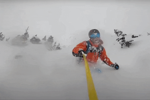 GIF by Odell Brewing Company