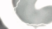 Wot Wheel Of Time GIF by BarkerSocial