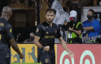 Lets Go Win GIF by Major League Soccer