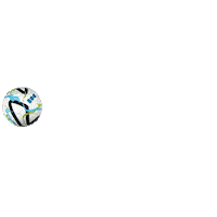brazilianunited futebol clube resenha busa Sticker