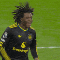 Happy Celebration GIF by Manchester United