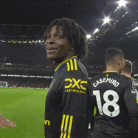 Celebration Smile GIF by Manchester United