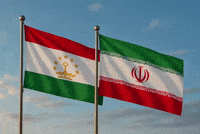 Flag Iran GIF