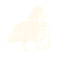 Wash Pigeon Sticker by Virtue Worldwide