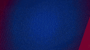 Germany Football GIF by Holstein Kiel