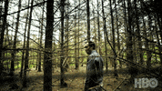 Jude Law Horror GIF by HBO