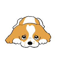 Dog Cavaliers Sticker