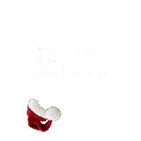 Oscars Bari Sticker by ESN Napoli