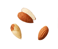 IMAgency almonds quaker cruesli quakernl Sticker