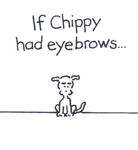 chippythedog chippythedog GIF