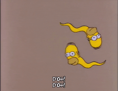 homer simpson episode 13 GIF