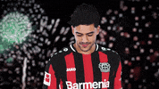 Leonardo Di Caprio Cheers GIF by Bayer 04 Leverkusen
