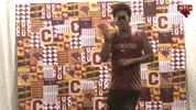Cuc GIF by CUCougars