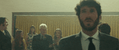 brendan urie GIF by Lil Dicky