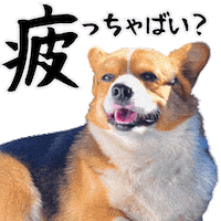 Corgi Milo Sticker