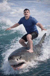 Bode Adams GIF