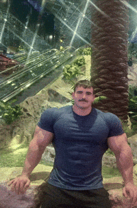 Bode GIF