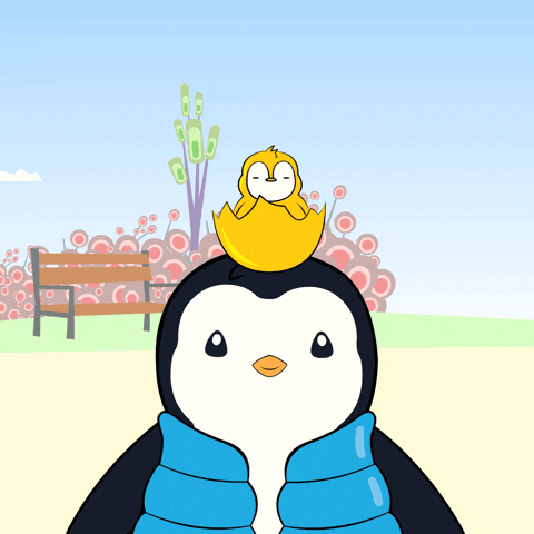 The Best Star GIF by Pudgy Penguins