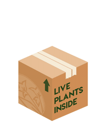 Sticker by Tonkadale