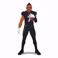 Atlanta Falcons Football GIF by SportsManias