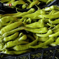 Farmer Vegetable GIF by TRT