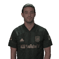 Brush Off Los Angeles Sticker by Major League Soccer