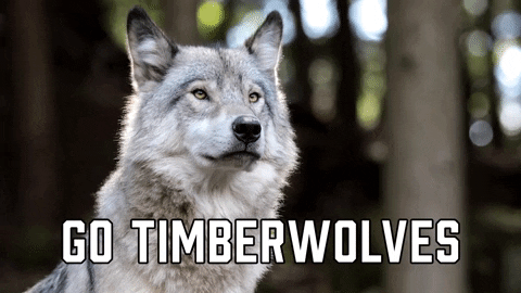 Minnesota Timberwolves Nba GIF by Sealed With A GIF