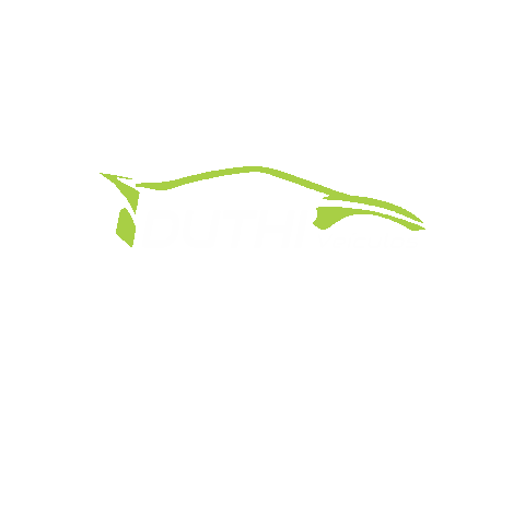 duthiveiculos giphygifmaker duthiveiculos Sticker