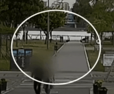 seotor_7 giphyupload GIF