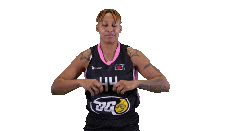 Basketball Hoops Sticker by Basket_fi