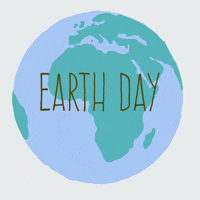 mademoisellefauve blue green day ocean GIF