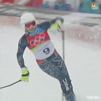 Julia Mancuso Sport GIF by Team USA