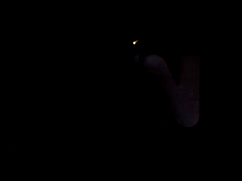 Art Glitch GIF