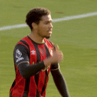 Premier League Ok GIF by AFC Bournemouth