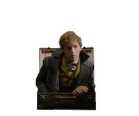 fantastic beasts magic Sticker by Fantastic Beasts: The Crimes of Grindelwald