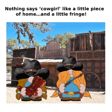 Wild West Cowboy GIF