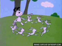 rabbits GIF