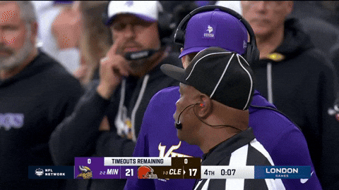 Nfl Skol Vikings GIF by Minnesota Vikings
