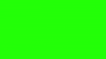 Green Screen Elephant GIF