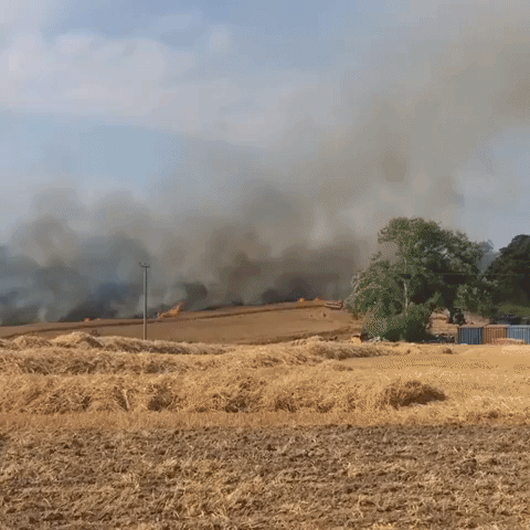 Fire Burns Through Fields Next to Drusillas Zoo Park in East Sussex