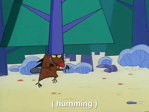nickrewind giphydvr nicksplat angry beavers giphyab031 GIF