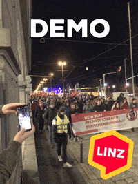 Team Wow GIF by Linz News