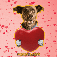 Dog Love GIF