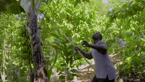 Jumping The Amazing Race GIF by CBS