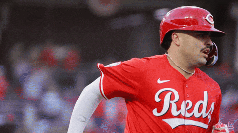 Celebration Yell GIF by Cincinnati Reds