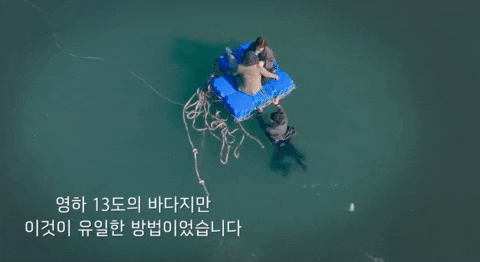 jmy0334 giphyupload GIF