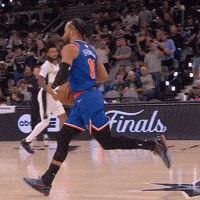 Pull Up New York Knicks GIF